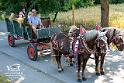 E-Foto Laudi_155_Jahre_FFW_Rathsmannsdorf-126 (2)